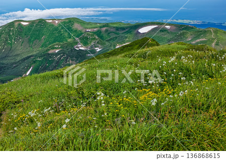 鳥海山・外輪山の花畑と御浜付近稜線・日本海の眺め 136868615