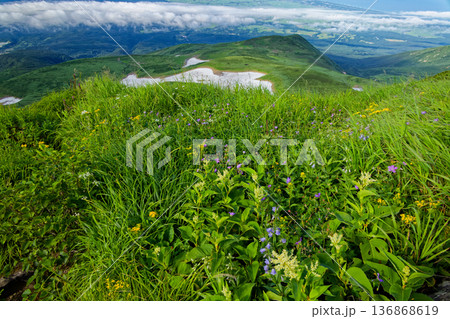 鳥海山・外輪山の花畑と心字雪 136868619
