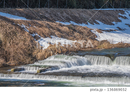 浅春の知内川　滋賀県高島市 136869032
