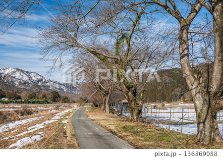 知内川沿いの農道　滋賀県高島市マキノ町 136869088