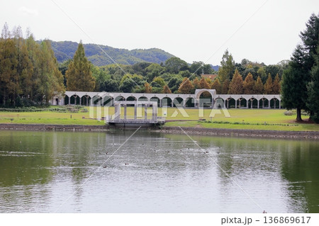 秋の公園　野外劇場 136869617