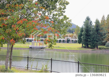 秋の公園　色づくウルシの枝葉 136869621