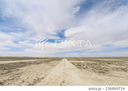 荒野の未舗装道路～カザフスタン・ウスチュルト台地 / Ustyurt Plateau 136869714