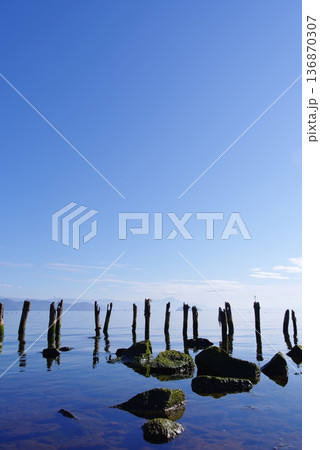 滋賀県　静寂に包まれた湖畔と木杭の風景 136870307