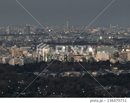 <鳥瞰>三鷹上空・夕方の井の頭公園と吉祥寺の街並み <鳥瞰>三鷹上空・夕方の井の頭公園と吉祥寺の街並み 136870751