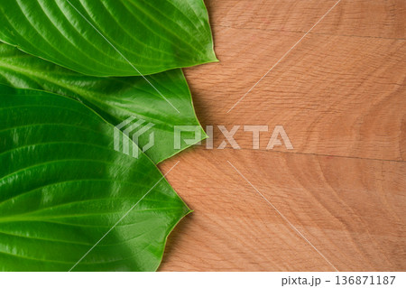 Green Leaves Hosts of the roadway shot close-up on the background of a wooden board 136871187