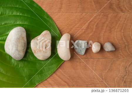 Green Leaves, Wayward Hosts and Stones of Various Velecheny on the Background of a Wooden Board 136871203