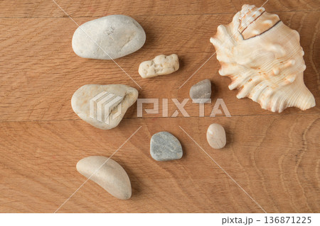 Smooth stones of various sizes and shells are scattered on the wood board 136871225