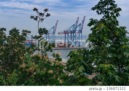 Seaport area, large cranes and stacked shipping containers against the backdrop of the sea Seaport area, large cranes and stacked shipping containers against the backdrop of the sea 136871322