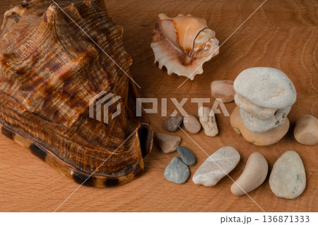 Seashells and a bunch of sea stones on a wooden board 136871333