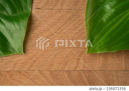 Green Leaves Hosts of the roadway shot close-up on the background of a wooden board Green Leaves Hosts of the roadway shot close-up on the background of a wooden board 136871356