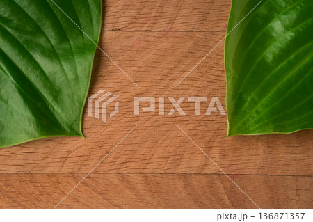 Green Leaves Hosts of the roadway shot close-up on the background of a wooden board Green Leaves Hosts of the roadway shot close-up on the background of a wooden board 136871357