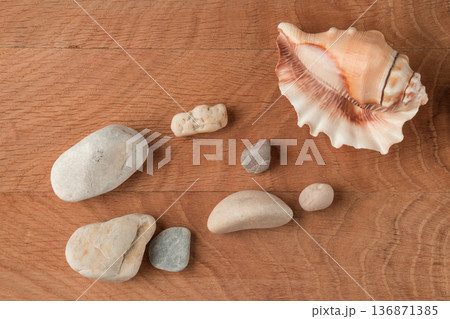 Smooth stones of various sizes and shells are scattered on the wood board 136871385