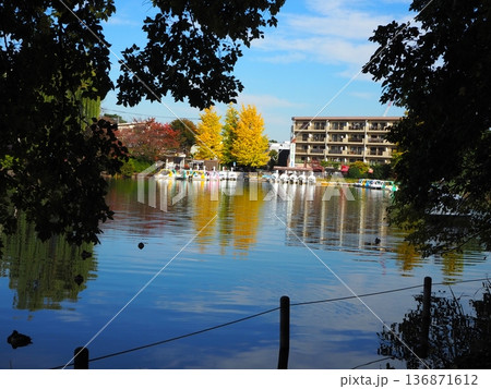 石神井公園 136871612