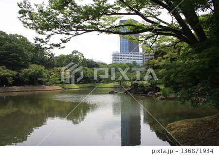 小石川後楽園とビル 小石川後楽園とビル 136871934