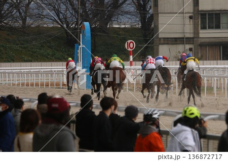 笠松競馬場のレース 砂コースを駆ける地方競馬の馬群 136872717