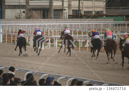 笠松競馬場の直線を駆ける人馬 136872718