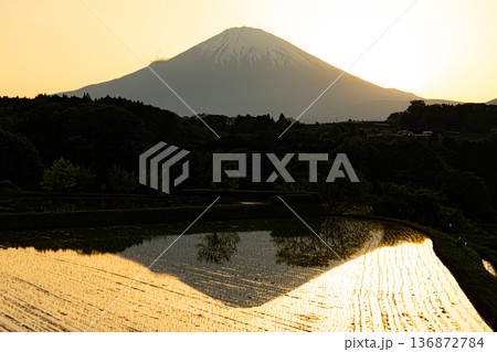 夕日に映える竹之下棚田 136872784