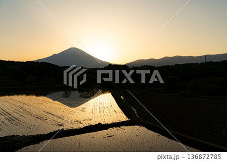 夕日に映える竹之下棚田 夕日に映える竹之下棚田 136872785