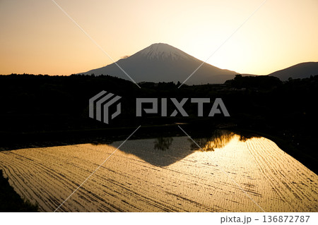 夕日に映える竹之下棚田 136872787