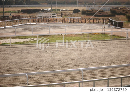 笠松競馬場の直線コース 笠松競馬場の直線コース 136872789