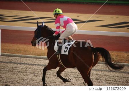 返し馬を行う競走馬と騎手 返し馬を行う競走馬と騎手 136872909