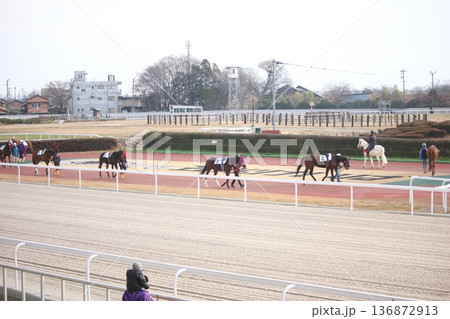 笠松競馬のパドックの風景 笠松競馬のパドックの風景 136872913