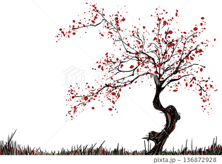 紅桜 紅桜 136872928