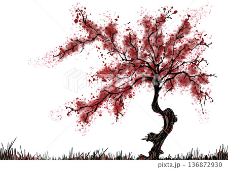 紅桜 136872930
