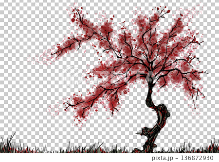 紅桜 136872930