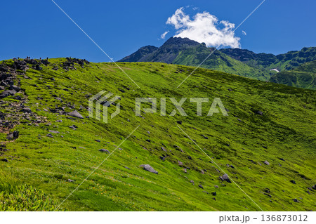 鳥海山・御田ヶ原付近の稜線を行く登山者と新山山頂 136873012