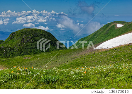 夏の鳥海山・鍋森と高山植物群落、日本海の眺め 136873016