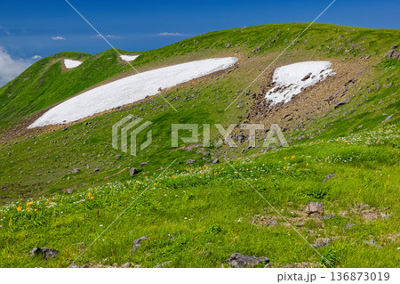 鳥海山・笙ヶ岳方面の稜線と高山植物群落 鳥海山・笙ヶ岳方面の稜線と高山植物群落 136873019