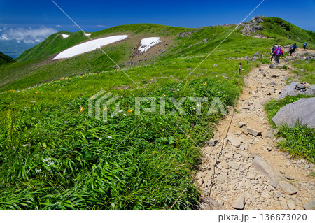 鳥海山・笙ヶ岳方面への登山道と高山植物群落 136873020
