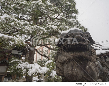 雪をかぶる阿形の狛犬、冬の静かな境内 136873023