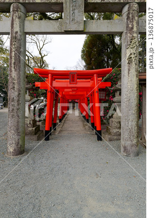 鳥居のある風景 136875017