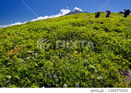 鳥海山稜線を行く登山者と新山山頂の眺め 136875020