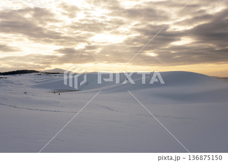 鳥取砂丘  夕陽に染まる雪景色 136875150