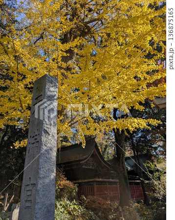 晩秋の神社 晩秋の神社 136875165
