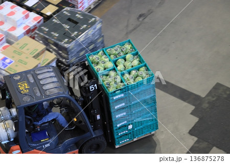 年末の大田市場　フォークリフトで運ばれる新鮮なレタス 136875278