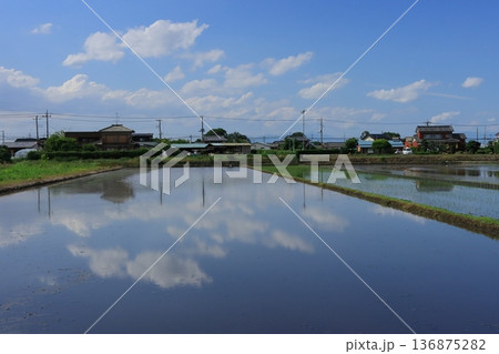 水を張った田んぼに映る空 水を張った田んぼに映る空 136875282