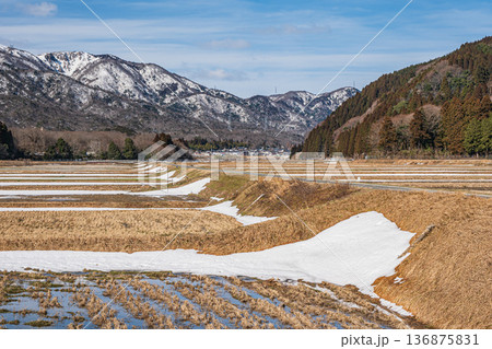 浅春のマキノ町の田園風景　滋賀県高島市 136875831
