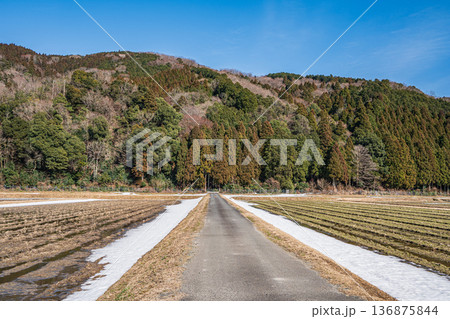 浅春のマキノ町の田園風景　滋賀県高島市 136875844