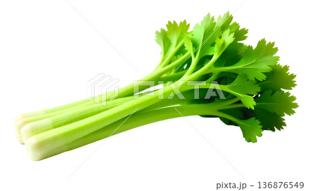 Vibrant celery against a transparent backdrop, promoting wellness and nutritious eating for National Celery Month 136876549