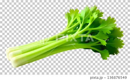 Vibrant celery against a transparent backdrop, promoting wellness and nutritious eating for National Celery Month 136876549
