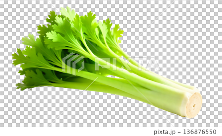 Crisp celery on a transparent background, symbolizing healthy snacks and clean eating during National Celery Month celebrations 136876550