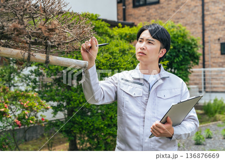 庭木を点検する男性作業員 庭木を点検する男性作業員 136876669
