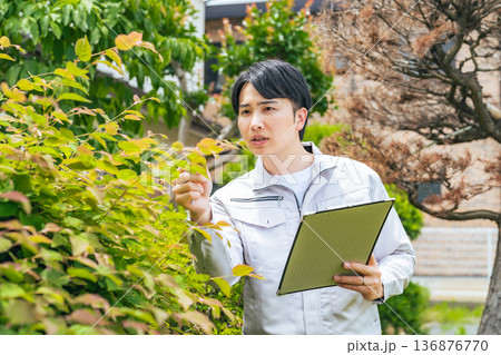 庭木を点検する男性作業員 136876770