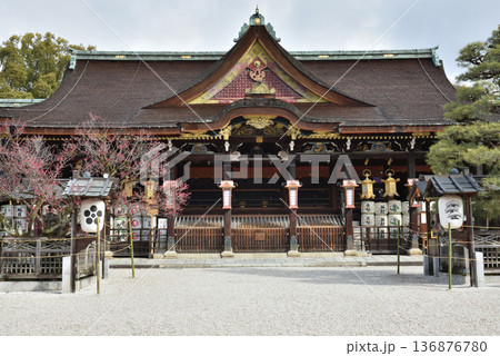 北野天満宮 拝殿と飛梅(京都市上京区) 北野天満宮 拝殿と飛梅(京都市上京区) 136876780