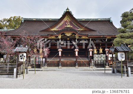 北野天満宮 拝殿と飛梅(京都市上京区) 北野天満宮 拝殿と飛梅(京都市上京区) 136876781